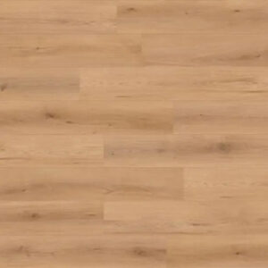 Lions Floor Seaside Canyon Coast Sunset Vista