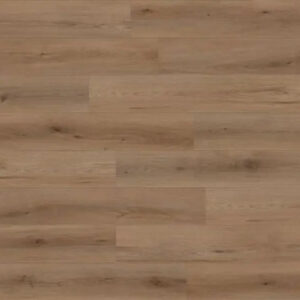 Lions Floor Seaside Canyon Coast Alpine Ambiance