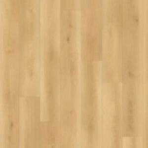 Lions Floor Seaside Canyon Coast Summit Shoreline