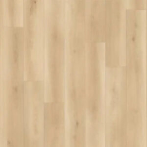 Lions Floor Seaside Canyon Coast Wilderness Whisper