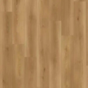 Lions Floor Seaside Canyon Coast Altitude Trail