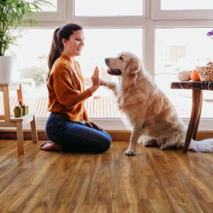 Mission Collection Foundation Collection Deep Canyon