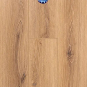 Provenza Moda Living Collection Star Struck