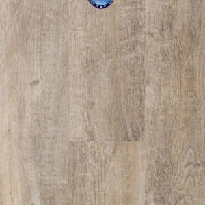 Provenza Uptown Chic Collection New Attitude