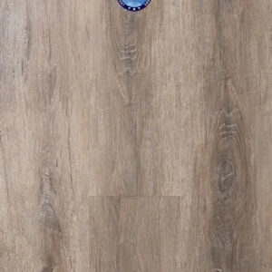 Provenza Uptown Chic Collection Sheer Joy