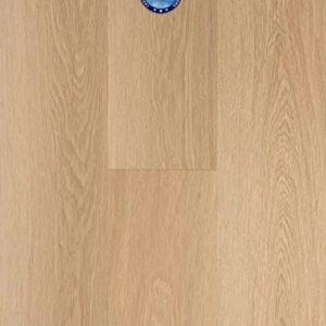 Provenza Uptown Chic Collection Limelight