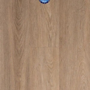 Provenza Uptown Chic Collection Limitless