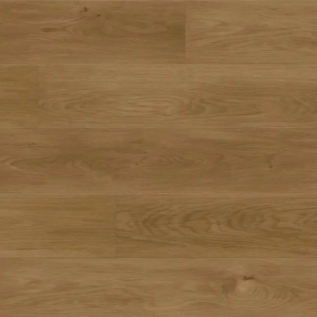 Republic North Water Collection Rainforest Brown