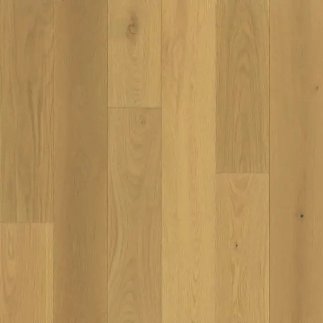 Bedrosians Tile & Stone Engineered Hardwood Newport Sand