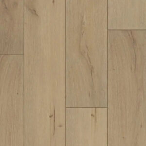 Happy Feet International Malibu II St.Augustine