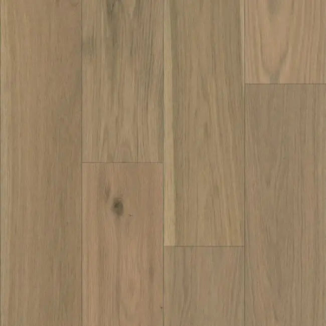 Mission Collection Terroso Collection Bluff Stone