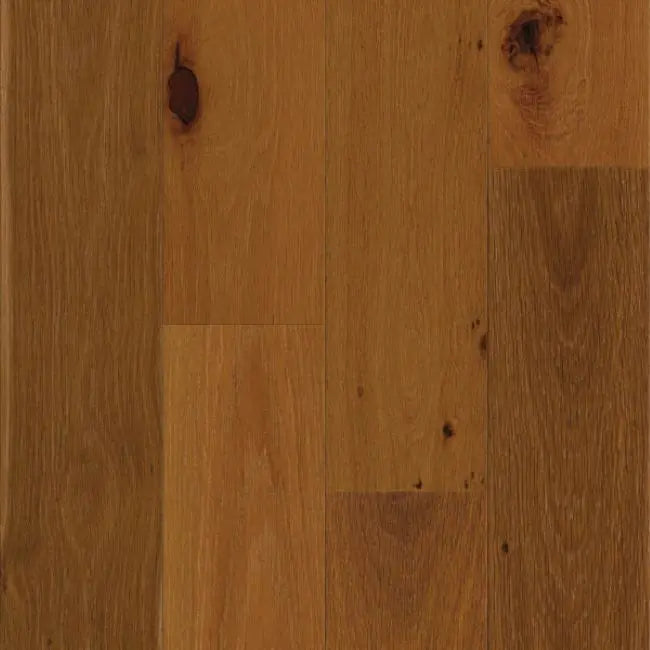 Mission Collection Terroso Collection Ground Bean