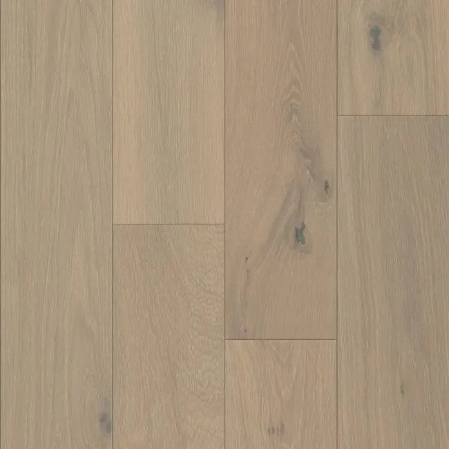 Mission Collection Terroso Collection Toasted Oatmeal