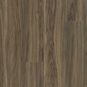 Shaw Floors Endura Plus Cinnamon Walnut