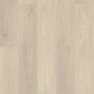 Shaw Floors Endura Plus Silver Dollar