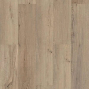 Shaw Floors Endura Plus Driftwood