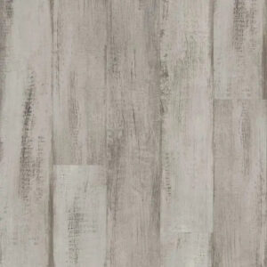 Shaw Floors Endura Plus Fresh Driftwood