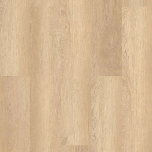 Shaw Floors Endura Plus White Sand