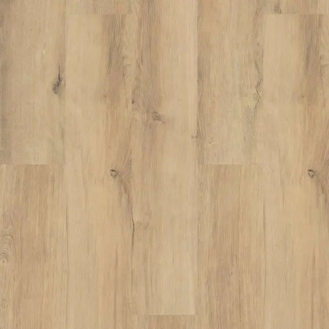 Shaw Floors Endura Plus Marina
