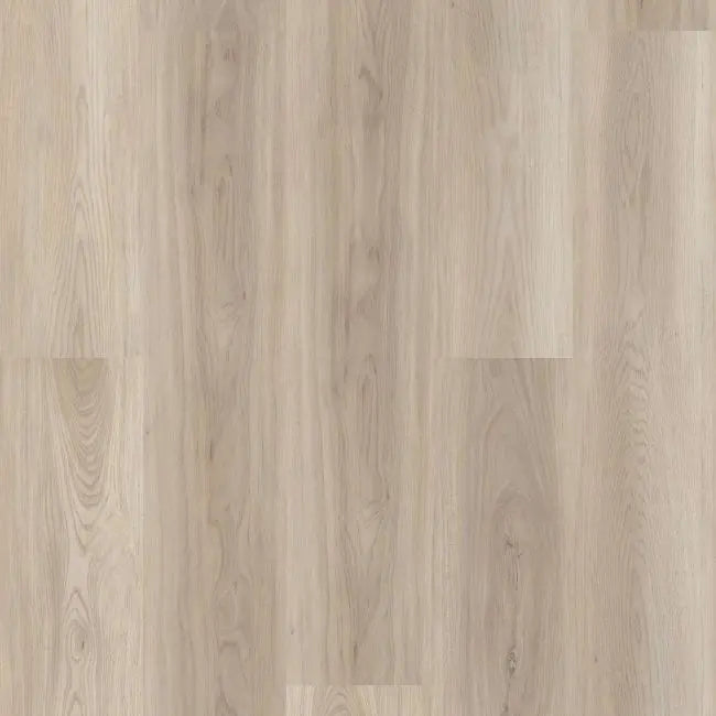Shaw Floors Endura Plus Lighthouse