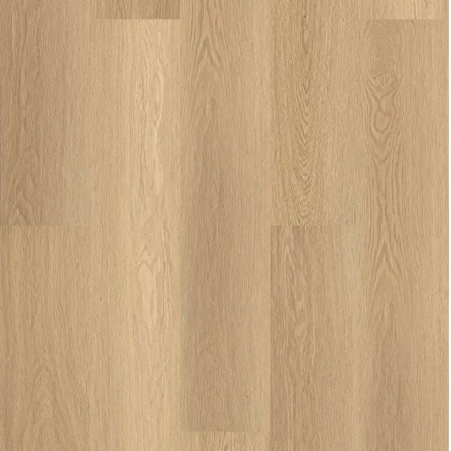 Shaw Floors Endura Plus Castaway