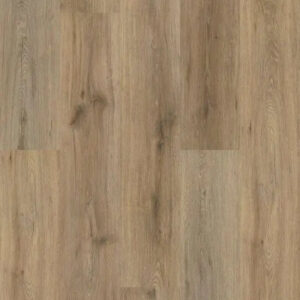 Shaw Floors Endura Plus Wild Dunes