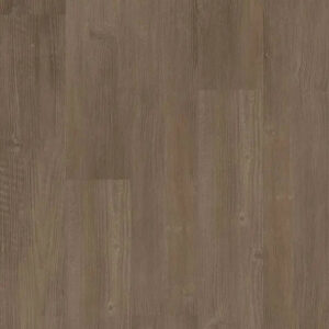 Shaw Floors Endura Plus Casual Comfort
