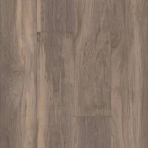 Shaw Floors Antica HD Plus Ardesia