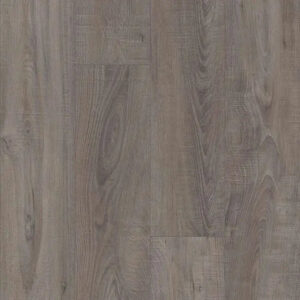 Shaw Floors Antica HD Plus Temporale