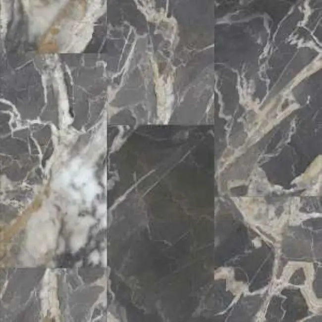 Shaw Floors Paragon Tile Plus Marquina