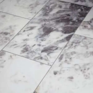 Shaw Floors Paragon Tile Plus Ibizia