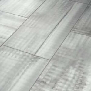 Shaw Floors Paragon Tile Plus Basalt