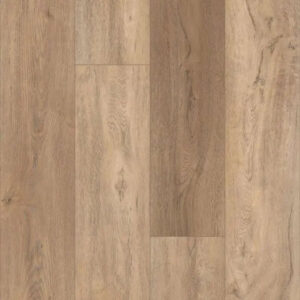 Shaw Floors Antica HD Plus Foresta