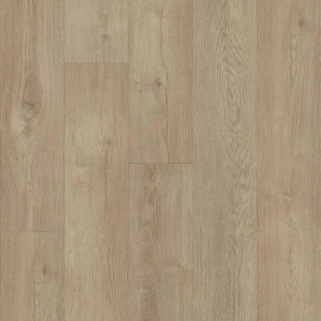 Shaw Floors Titan HD Plus Platinum Essential White