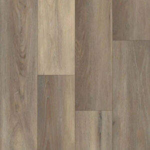 Happy Feet International Pinnacle Argyll*