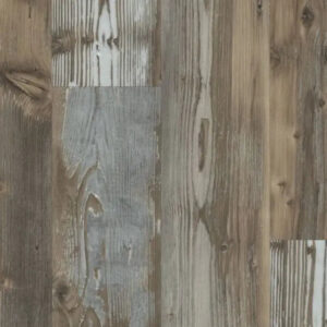 Happy Feet International Rescue Banff*