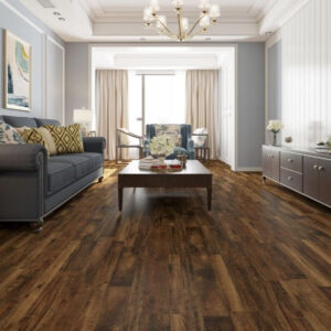 Lions Floor Bambino Chambery