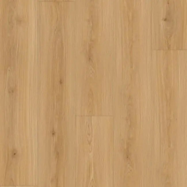 Republic Bear Woods Collection Bianco Romano