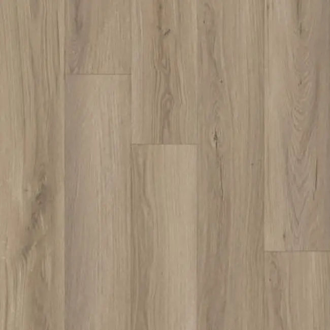 Republic Bear Woods Collection Blue Dunes