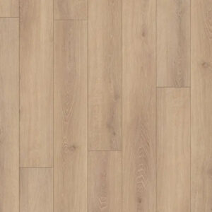 Happy Feet International Regency Brighton