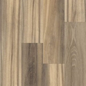 Happy Feet International Freedom Chesapeake