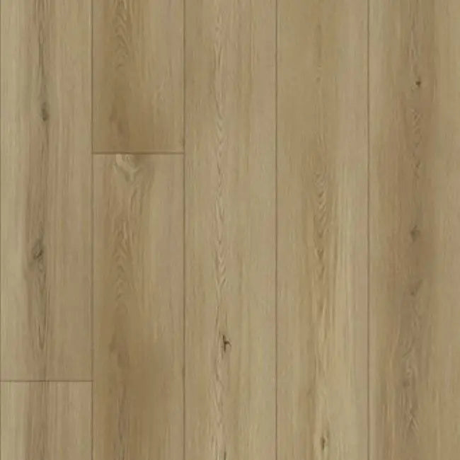 Republic North Forest Collection Creama Valencia