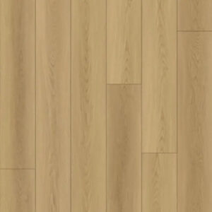 Republic North Forest Collection Desert Sunrise