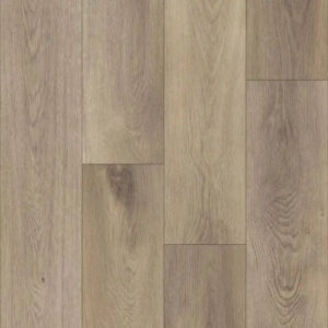 Happy Feet International Pinnacle Edinburgh