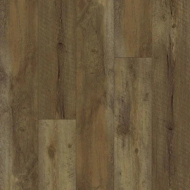 Happy Feet International Built-Rite II European Oaks