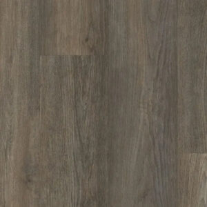 Happy Feet International Rescue Lake Placid