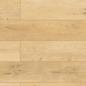 Lions Floor Lone Star Spirit More Mesa