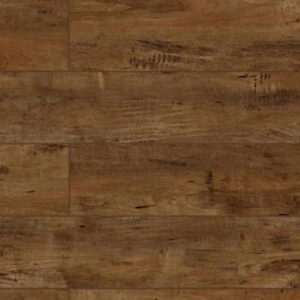 Lions Floor Lone Star Spirit Chocolat