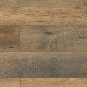 Lions Floor Lone Star Spirit Odessa Palm