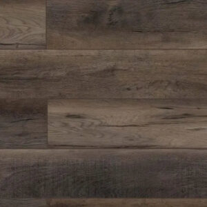 Lions Floor Lone Star Spirit XL Ballroom Rodeo